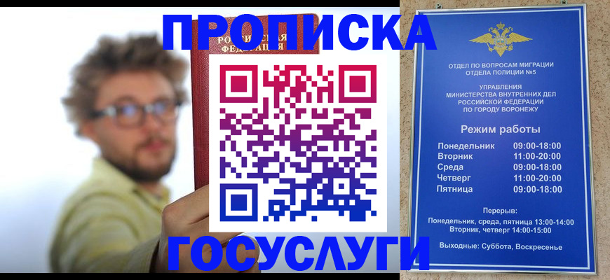 прописка поиск в Щёлкино